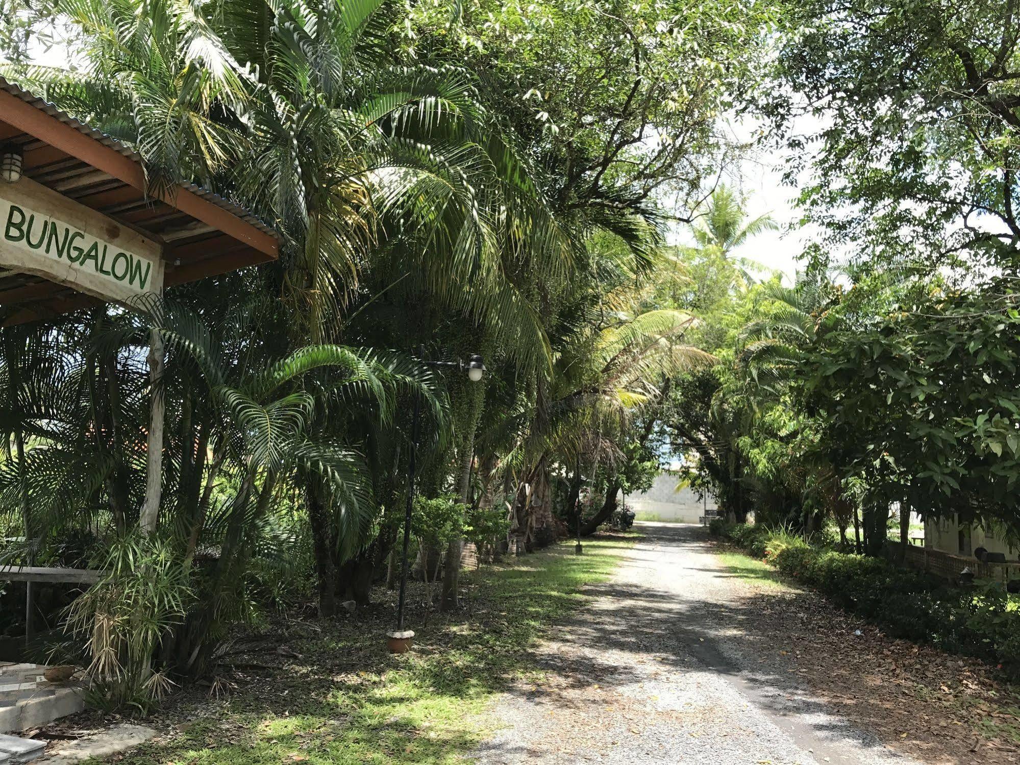 Coconut Bungalow Nai Yang Beach Kültér fotó