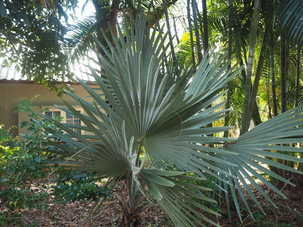 Coconut Bungalow Nai Yang Beach Kültér fotó